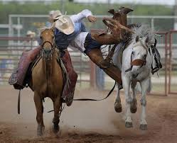 There S Something Women Love About A Pickup Man Horses Rodeo Cowboys Bronc Riding