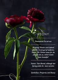 Meg Sٹ Oldfarmhouse Flower Meanings Peonies Plants
