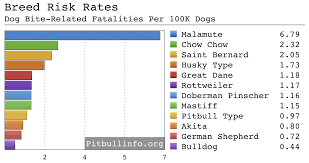 The average number of canine homicides per year was 17 in the 1980s and 1990s (see below); Pin On Cullen S Wall
