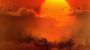 Find free hd wallpapers for your desktop, mac, windows or android device. Apocalypse Now 1080p 2k 4k 5k Hd Wallpapers Free Download Wallpaper Flare