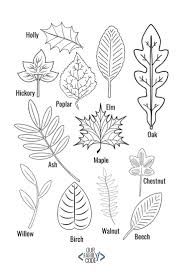 Chalk Pastel Leaf Rubbings Steam Activity Our Family Code Fall Crafts Leaf Crafts Chalk Pastels