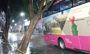 Alerta Roja en 2 alcaldías, por lluvia, inundaciones y caída de árboles