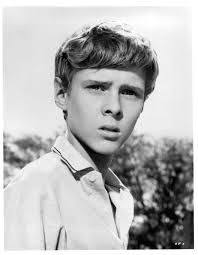 Dennis the Menace's Jay North Raised 3 Stepkids Far from Hollywood