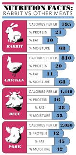 Is Rabbit The New White Meat Prevention