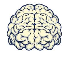 Maybe you would like to learn more about one of these? Human Brain Hand Drawn Icon Brain Drawing Brain Art Brain Illustration