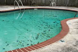 First, remove the automatic pool cleaner from your pool water. How To Remove Pool Stains Your Complete Guide