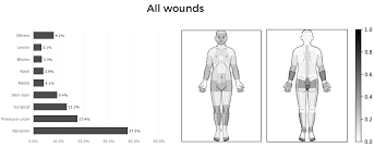 Jderm Skin And Wound Map From 23 453 Nursing Home Resident