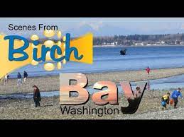The park is located a few miles south of the canadian border and is very popular with recreational clam harvesters. Birch Bay Washington Scenes From Birch Bay State Park In Northwest Washington Near Vancouver B C Youtube