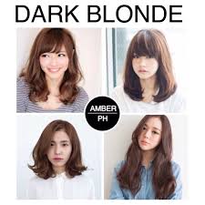 We cover blonde hair colour in all shades, tones and varieties, to inspire you to your next colour. Dark Blonde Hair Color Shopee Philippines