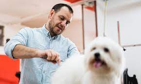 Our pets best pet insurance review looks at plans, coverage, cost, and more. Pet Grooming Insurance Get Dog Grooming Insurance The Hartford