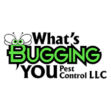 More than half of those concerned about any pests during the summer say they are worried about contracting a. Relyon One Focus Your Success Our Clients