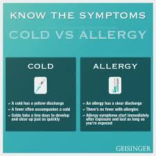 The Seasonal Allergic Rhinitis Better Known As Hay Fever Begins In The Spring The Symptoms Are Similar To Th Cold Or Allergies Allergies Cold Vs Allergies