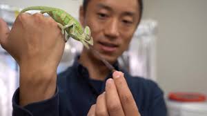 Trans golfer Hailey Davidson wins women's tournament, increasing chances to  LPGA qualifier