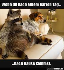 Dann mache ich aufräumen des zimmers. Wenn Du Nach Einem Harten Tag Nach Hause Kommst Lustige Bilder Spruche Witze Echt Lustig