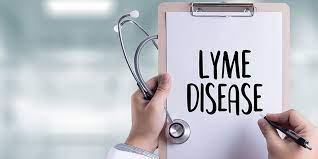 The Cdc Reveals The Truth About Lyme Disease Amen Clinics Amen Clinics