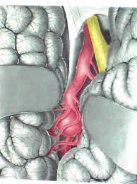 Il principale è ovviamente un fortissimo mal di testa che deve far accendere immediatamente un campanello. Aneurisma Cerebrale Sintomi Diagnosi Conseguenze E Trattamento Tanta Salute