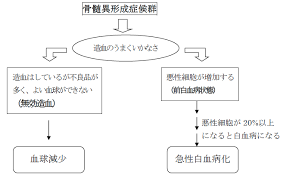 骨髄異形成症候群 診療の参照ガイド 3 緒言 骨髄異形成症候群（myelodysplastic syndromes：mds）は，血球の形態異常と無効造血を特徴 とする造血幹細胞腫瘍である．末梢血では血球減少をきたすが，その原因は無効造血であるため ä¸»ãªå¯¾è±¡ç–¾æ‚£ è¨ºæ–­ã¨æ²»ç™‚æ–¹æ³• å±±å£çœŒç«‹ç·åˆåŒ»ç™‚ã‚»ãƒ³ã‚¿ãƒ¼
