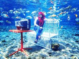 Check spelling or type a new query. Tiket Masuk Umbul Ponggok 2021 Jam Buka Penginapan