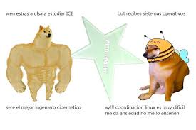 Memes Ulsa Facebook