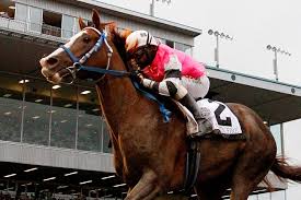 Emerald downs first opened its doors to race fans on june 20, 1996. Emerald Downs Season Set To Open Saturday Heraldnet Com