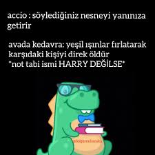 Helen Holmes Adli Kullanicinin Harry Potter Panosundaki Pin 2020 Harry Potter Capsleri Komik Seyler Harry Potter
