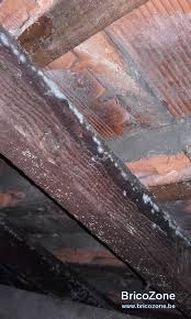 Une solution très intéressante à envisager pour isoler vos combles sous tuiles. Condensation Sous Toiture Non Isolee