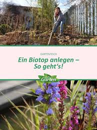 Gartenteich Als Biotop Anlegen In 2020 Gartenteich Garten Teich