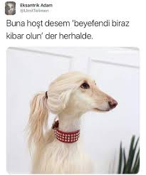 Ya Coook Tatliii Komik Seyler Resimler Komik