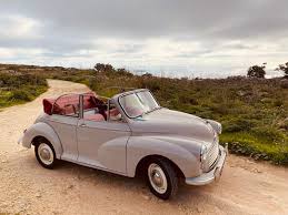 Image result for Rose Taupe 1962 Morris