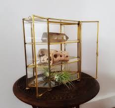 Vintage Brass And Glass Curio Cabinet Mirrored Terrarium Air Etsy Glass Curio Cabinets Small Wall Hangings Curio Cabinet