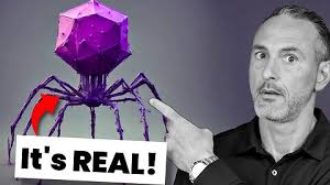 Natural Informant w/ Danny Curtin