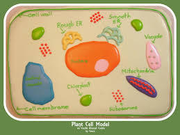 Check spelling or type a new query. Plant Cell Cookie Cookie Connection