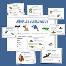 Animales que respiran a través de branquiastiburón atún manta rallas bacalao velugo esturión pez gato cangrejos langostas medusas camarones estos son animales vertebrados que al inicio de suvida, tienen respiración por la piel, especialmente cuando acaban de salir del huevo pasando a la. Animales Vertebrados Fichas Ciencias Naturales