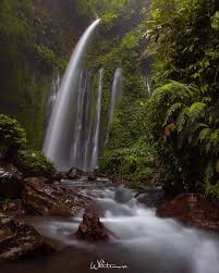 Air terjun ini ada di kaki gunung rinjani bersama dengan sendang gile. Air Terjun Tiu Kelep Fasilitas Rute Jam Buka Harga Tiket Dan Daya Tarik Tempat Me