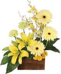 Check spelling or type a new query. Delray Beach Florist Delray Beach Fl Flower Shop Greensical Flowers Gifts Decor