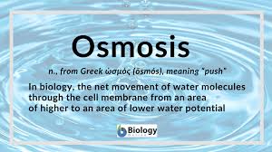 We did not find results for: Osmosis Definition And Examples Biology Online Dictionary