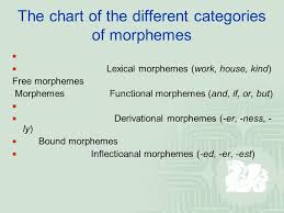 linguistics the ninth week chapter 3 morphology 3 1