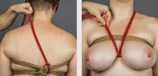 Shibari breast bondage