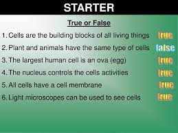 We did not find results for: Starter True False True True True True True Or False Ppt Download
