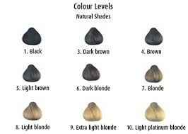 Hair Colouring Understanding Colour Levels Beauty Tips