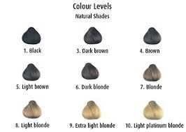 hair colouring understanding colour levels beauty tips