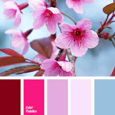 If you decide to mix and match two or three colors at a time, you can create a range of palettes for your designs, from professional ones with cool colors to more upbeat, energetic ones. Blue And Magenta Color Palette Ideas