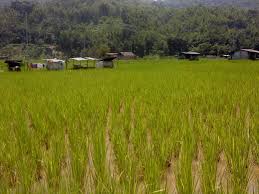 Create an wallpaper with all of your minecraft friends in it! Tidak Salah Untuk Bergembira Menyambut Pesta Kaamatan Tetapi Adakah Nilai Nilai Murninya Dihayati Dan Difahami