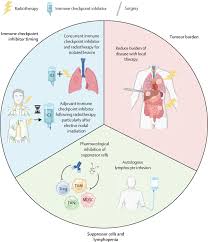 Image result for Immune Checkpoint Inhibitor