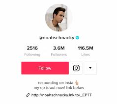 How To Optimize Your Tiktok Bio 5 Easy Steps Examples