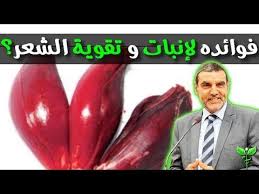 الطريقة الصحيحة لوضع عصير البصل على الشعر الدكتور محمد الفايد Youtube Skin Care Mask Beauty Skin Care Hair Regrowth