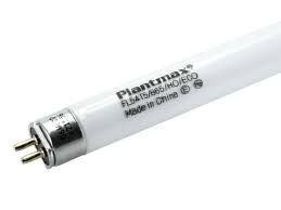 1 bulb t5 high output fluorescent grow light made for plant propagation. Plantmax 54w 46in T5 Ho Daylight White Plant Grow Fluorescent Tube Px Fl54 865 Bulbs Com