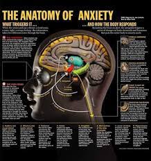 Daxid (25mg) mainly use for depression,obsessive compulsive disorder,panic disorder,premenstrual dysphoric disorder. Daxid 50 Mg Tablet Tips Advice From Top Doctors Lybrate