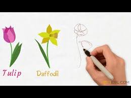 Often a peaceful place for a stroll or social event, the tea garden is a smaller form of a pleasure garden. Flower Names Great List Of Flowers And Types Of Flowers With Images 7esl