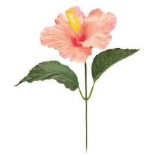 For the best results, our resident experts recommend planting perennials in small groups in your borders. Hibiscus Red Flower Artificial Flower Import Japanese Products At Wholesale Prices Super Delivery